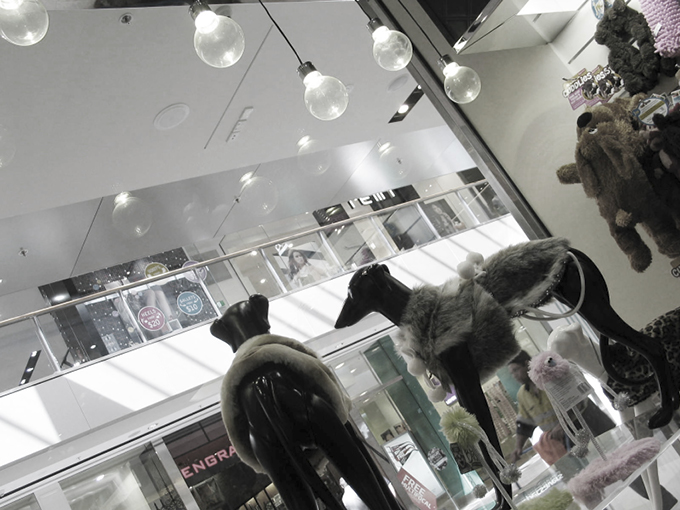 Posh Pets Carindale | Retail shop interior dersigners | Gold Coast and Brisbane