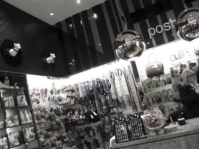 Posh Pets Carindale | Retail shop interior dersigners | Gold Coast and Brisbane