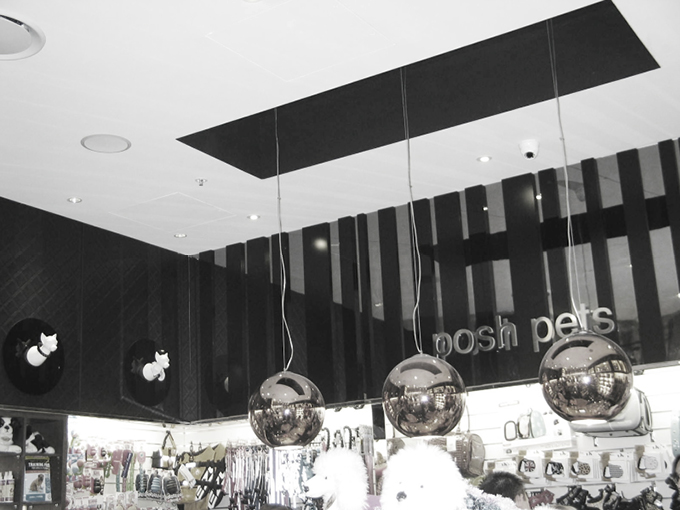 Posh Pets Carindale | Retail shop interior dersigners | Gold Coast and Brisbane