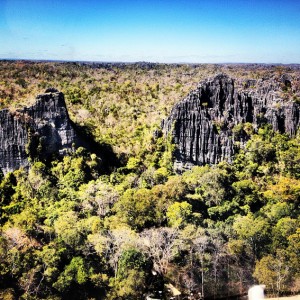 Tsingy Forest Madagascar