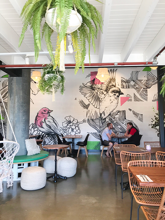 Cafe designer Gold Coast